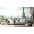 WALL MURAL WINTER PARIS - WALLPAPERS CITIES - WALLPAPERS