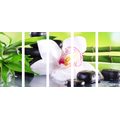 5-TEILIGES WANDBILD JAPANISCHE ORCHIDEE - BILDER MIT FENG SHUI-MOTIVEN - BILDER