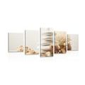 5-PIECE CANVAS PRINT ZEN STONES WITH SEASHELLS - PICTURES FENG SHUI - PICTURES