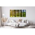 5-PIECE CANVAS PRINT SUNNY MORNING IN THE FOREST - PICTURES OF NATURE AND LANDSCAPE - PICTURES