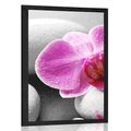 POSTER ORCHID FLOWERS ON WHITE STONES - FENG SHUI - POSTERS