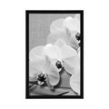 POSTER ORCHID ON A CANVAS IN BLACK AND WHITE - BLACK AND WHITE - POSTERS