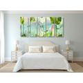 5-PIECE CANVAS PRINT ABSTRACT PARADISE - PICTURES OF TREES AND LEAVES - PICTURES