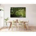 CANVAS PRINT FAIRYTALE FOREST - PICTURES OF NATURE AND LANDSCAPE - PICTURES