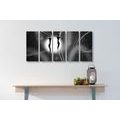 5-PIECE CANVAS PRINT ETHNO LOVE IN BLACK AND WHITE - BLACK AND WHITE PICTURES - PICTURES