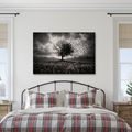 WANDBILD LEBENSBAUM IM STURM - HALLOWEEN- UND HORROR-BILDER - BILDER