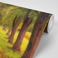 WALL MURAL TRAIL THROUGH THE AUTUMN FOREST - WALLPAPERS NATURE - WALLPAPERS