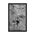 POSTER FLOWERS IN BLACK AND WHITE - BLACK AND WHITE - POSTERS