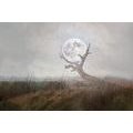 SELF ADHESIVE WALLPAPER MOON IN THE ARMS OF NATURE - SELF-ADHESIVE WALLPAPERS - WALLPAPERS