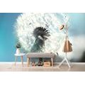 SELF ADHESIVE WALL MURAL DETAIL OF A DANDELION - SELF-ADHESIVE WALLPAPERS - WALLPAPERS