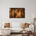 TABLEAU SUR TOILE – RAYONS DORÉS DANS LA FORÊT - TABLEAUX FORÊT - TABLEAUX