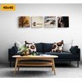 CANVAS PRINT SET FOR HORSE LOVERS - SET OF PICTURES - PICTURES
