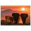 TABLEAU SUR TOILE – ÉLÉPHANTS AU COUCHER DU SOLEIL - TABLEAUX ÉLÉPHANTS - TABLEAUX
