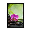 PLAKAT FENG SHUI MARTWA NATURA - FENG SHUI - PLAKATY