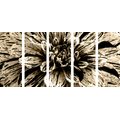 5-PIECE CANVAS PRINT EXOTIC DAHLIA IN SEPIA DESIGN - BLACK AND WHITE PICTURES{% if product.category.pathNames[0] != product.category.name %} - PICTURES{% endif %}