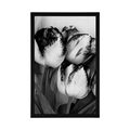 POSTER SPRING TULIPS IN BLACK AND WHITE - BLACK AND WHITE - POSTERS