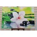 WANDBILD JAPANISCHE ORCHIDEE - BILDER MIT FENG SHUI-MOTIVEN - BILDER