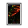 POSTER WITH MOUNT TROPICAL PALM LEAVES - NATURE - POSTERS