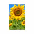 POSTER FELD MIT SONNENBLUMEN - BLUMEN{% if product.category.pathNames[0] != product.category.name %} - GERAHMTE POSTER{% endif %}