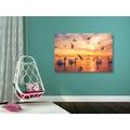 CANVAS PRINT SWANS AT SEA - PICTURES OF ANIMALS{% if product.category.pathNames[0] != product.category.name %} - PICTURES{% endif %}