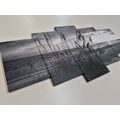 5-PIECE CANVAS PRINT SUNSET ON A BEACH IN BLACK AND WHITE - BLACK AND WHITE PICTURES - PICTURES