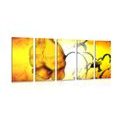 5-PIECE CANVAS PRINT ETHNO FLOWER - PICTURES FLOWERS - PICTURES