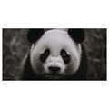 WANDBILD LÄCHELNDER SCHWARZ-WEISSER PANDA - BILDER TIERE - BILDER