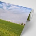 SELF ADHESIVE WALL MURAL MAGICAL LANDSCAPE - SELF-ADHESIVE WALLPAPERS - WALLPAPERS