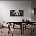 WANDBILD LÄCHELNDER SCHWARZ-WEISSER PANDA - BILDER TIERE - BILDER