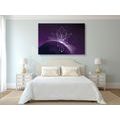 CANVAS PRINT FENG SHUI LOTUSES - PICTURES FENG SHUI - PICTURES