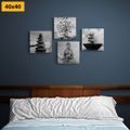 CANVAS PRINT SET WITH BLACK AND WHITE FENG SHUI THEME - SET OF PICTURES - PICTURES