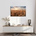 TABLEAU SUR TOILE – BLÉ DORÉ AU COUCHER DU SOLEIL - TABLEAUX DE CHAMPS ET PRAIRIES - TABLEAUX