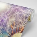 SELF ADHESIVE WALLPAPER VIEW OF A DETAIL OF A DANDELION - SELF-ADHESIVE WALLPAPERS - WALLPAPERS