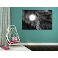 CANVAS PRINT WOLF MOON IN BLACK AND WHITE - BLACK AND WHITE PICTURES - PICTURES