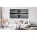 CANVAS PRINT STARRY SKY ABOVE A LONELY TREE IN BLACK AND WHITE - BLACK AND WHITE PICTURES - PICTURES