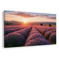 TABLEAU SUR TOILE – SOLEIL AU-DESSUS D’UN CHAMP DE LAVANDE - TABLEAUX DE CHAMPS ET PRAIRIES - TABLEAUX