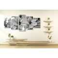 5-PIECE CANVAS PRINT BLACK AND WHITE MAGNOLIA ON AN ABSTRACT BACKGROUND - BLACK AND WHITE PICTURES - PICTURES