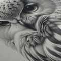 WANDBILD SCHWARZ-WEISSES EULENPORTRÄT - BILDER VON VÖGELN - BILDER