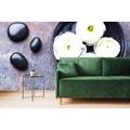 WALL MURAL STILL LIFE WITH ZEN STONES - WALLPAPERS FENG SHUI - WALLPAPERS