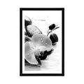 POSTER WITH MOUNT MAGICAL INTERPLAY OF STONES AND ORCHIDS IN BLACK AND WHITE - BLACK AND WHITE - POSTERS