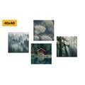 CANVAS PRINT SET WONDERS OF NATURE - SET OF PICTURES - PICTURES