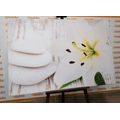 CANVAS PRINT LILY AND MASSAGE STONES IN A WHITE DESIGN - PICTURES FENG SHUI - PICTURES