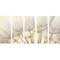 5-PIECE CANVAS PRINT DANDELION SEEDS - PICTURES FLOWERS{% if product.category.pathNames[0] != product.category.name %} - PICTURES{% endif %}
