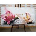 CANVAS PRINT ORCHID FLOWERS - PICTURES FLOWERS - PICTURES