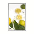 POSTER MIX OF CITRUS FRUITS - WITH A KITCHEN MOTIF - POSTERS