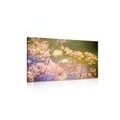 CANVAS PRINT FLORAL STILL LIFE - PICTURES OF NATURE AND LANDSCAPE - PICTURES