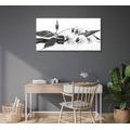 CANVAS PRINT STILL LIFE WITH ZEN STONES IN BLACK AND WHITE - BLACK AND WHITE PICTURES - PICTURES