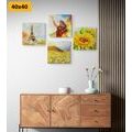 CANVAS PRINT SET WITH A TOUCH OF FREEDOM - SET OF PICTURES - PICTURES