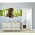 5-PIECE CANVAS PRINT TREE TRUNK - PICTURES OF NATURE AND LANDSCAPE - PICTURES