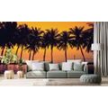 SELF ADHESIVE WALLPAPER SUNSET OVER PALM TREES - SELF-ADHESIVE WALLPAPERS - WALLPAPERS